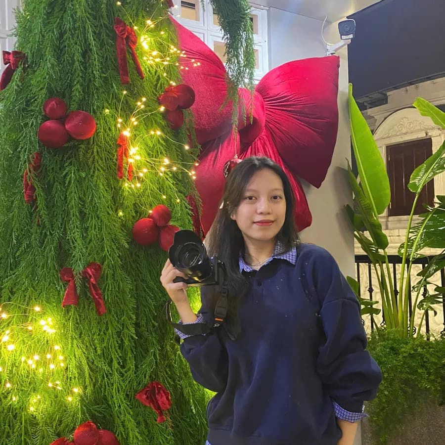 Lê Trần An Nguyên